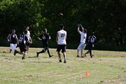 OTFL Gallery Image